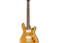 PRS | ピーアールエス   SE DGT Gold Top