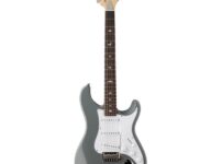 PRS | ピーアールエス   SE Silver Sky Storm Gray