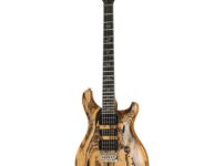 PRS | ピーアールエス   Special 22 SH PS Pale Moon