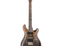 PRS | ピーアールエス   Modern Eagle V Private Stock F