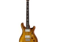 PRS | ピーアールエス   DGT Birds MS