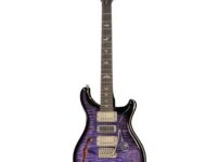 PRS | ピーアールエス   Special S/H 22 PT Purple Mist