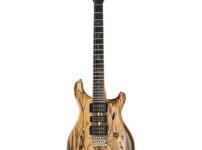 PRS | ピーアールエス   Special 22 SH PS Pale Moon