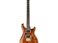 PRS | ピーアールエス   Custom 24 Wood Library CH