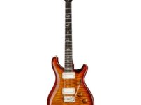 PRS | ピーアールエス   DGT Birds DS