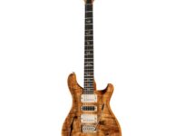 PRS | ピーアールエス   PS Special SH Natural