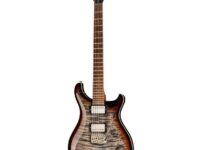 PRS | ピーアールエス   Custom 24 Wood Library TCB
