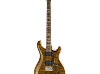 PRS | ピーアールエス   Custom 24/08 PS Tiger Eye