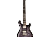 PRS | ピーアールエス   Custom 24 Wood Library PM
