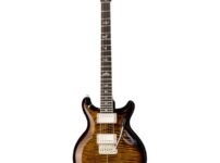PRS | ピーアールエス   Santana Retro BW