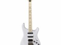 PRS | ピーアールエス   Fiore Sugar Moon