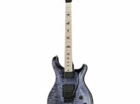 PRS | ピーアールエス   CE 24 Dustie Waring Floyd GB
