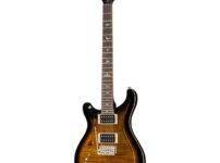 PRS | ピーアールエス   SE Custom 24 BG LH
