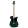 PRS | ピーアールエス   Myles Kennedy Hunters Green