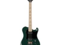 PRS | ピーアールエス   Myles Kennedy Hunters Green