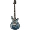 PRS | ピーアールエス   Custom 24 Floyd FW