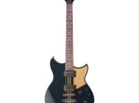Yamaha | ヤマハ  Revstar RSP20X R. Br. Charcoal