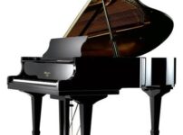 アルバート・ウェーバー  ピアノ Albert Weber AW208 Grand Piano