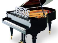 ペトロフ  ピアノ Petrof P194 Grand Piano