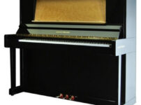 アウグスト・フェルスター  ピアノ August Forster 134K Upright Piano