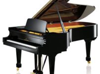 ベヒシュタイン  ピアノ C. Bechstein A228 Grand Piano