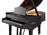 ブリュートナー  ピアノ Bluthner 11 Grand Piano