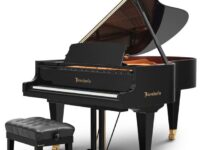 ベーゼンドルファー  ピアノ Bosendorfer 200 Grand Piano