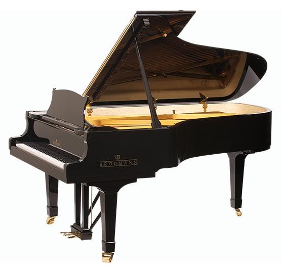 ブロードマン  ピアノ Brodmann PE228 Grand Piano