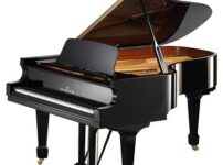 C.ベヒシュタイン  ピアノ C. Bechstein A208 Grand Piano