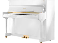エセックス  ピアノ Essex EUP116E Upright Piano
