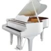 G. Steinberg  ピアノ G. Steinberg GS152 Grand Piano