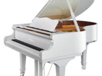 G. Steinberg  ピアノ G. Steinberg GS152 Grand Piano
