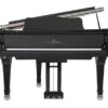 G. Steinberg  ピアノ G. Steinberg GS160 Grand Piano