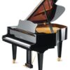 グロトリアン  ピアノ Grotrian G165 Grand Piano