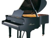 ヘスラー  ピアノ Haessler 186 Grand Piano