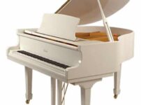 ピアノの名称：イルムラ  ピアノ Irmler F160 Grand Piano