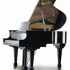 イルムラー  ピアノ Irmler F160E Grand Piano