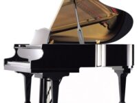 イルムラー  ピアノ Irmler F190E Grand Piano