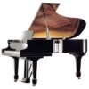 イルムラー  ピアノ Irmler F210E Grand Piano