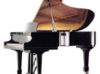 イルムラー  ピアノ Irmler F210E Grand Piano