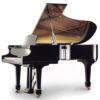 イルムラー  ピアノ Irmler F230E Grand Piano