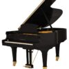 ピアノ名称：メイソン＆ハムリン  ピアノ Mason & Hamlin AA Grand Piano