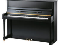 パールリバー  ピアノ Pearl River EU122 Upright Piano