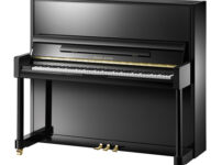パールリバー  ピアノ Pearl River EU131 Upright Piano