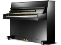 パールリバー  ピアノ Pearl River UP109D Upright Piano
