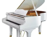 ペルツィーナ  ピアノ Perzina GP160 Grand Piano