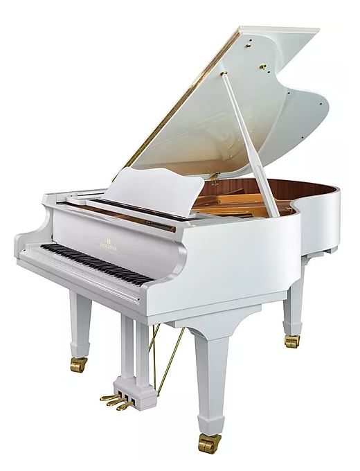 ペルツィーナ  ピアノ Perzina GP160 Grand Piano