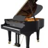 ペルツィーナ  ピアノ Perzina GP175 Grand Piano