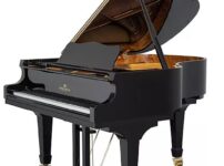 ペルツィーナ  ピアノ Perzina GP175 Grand Piano
