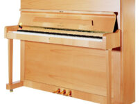 ペトロフ  ピアノ Petrof P118 Upright Piano